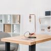 Modern Iron Desk Lamp with USB Port and Glass Shade, Rose Gold