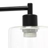 Modern Iron Desk Lamp with USB Port and Glass Shade, Black