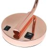 Modern Iron Desk Lamp with USB Port and Glass Shade, Rose Gold