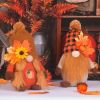 Fall Scarecrow Gnomes 2 Pack Fall for Home Decorations
