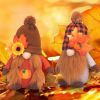 Fall Scarecrow Gnomes 2 Pack Fall for Home Decorations
