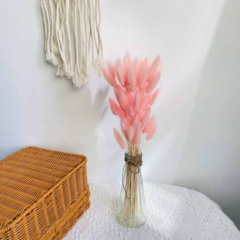Dried Flowers Pampas Grass Mixed Bunny Rabbit Tail Lagurus Bouquet Wedding Christmas Decoration Natural Reed Flower Home Decora Dried Flowers Pampas Grass Mixed Bunny Rabbit Tail Lagurus Bouquet Wedding Christmas Decoration Natural Reed Flower Home Decora